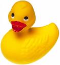 yellow-duck