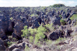 Limestone karst after phosphate mining in Nauru