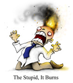 the-stupid-it-burns