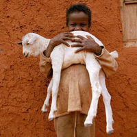 boy-with-goat