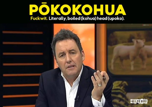 Mike Hosking fuckwit